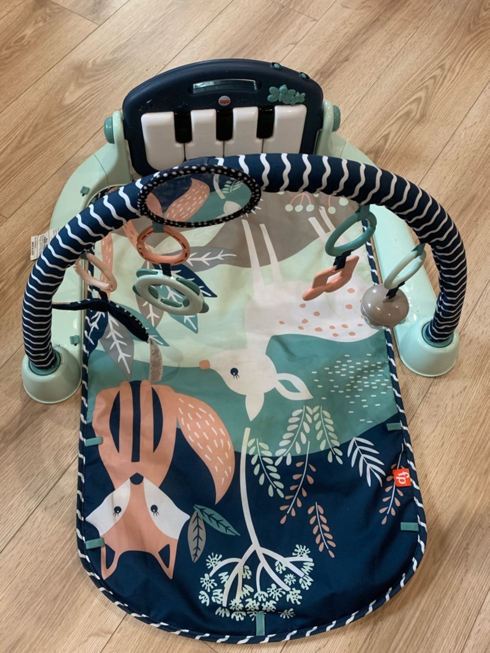 Fisher-Price Navy, Mint & Peach Musical Activity Gym